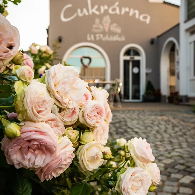 Cukrárna Cejkovice 0002 (2048p).webp